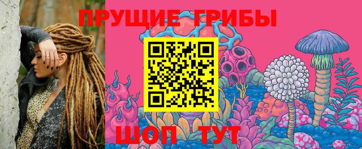 Галлюциногенные грибы Cubensis Котовск